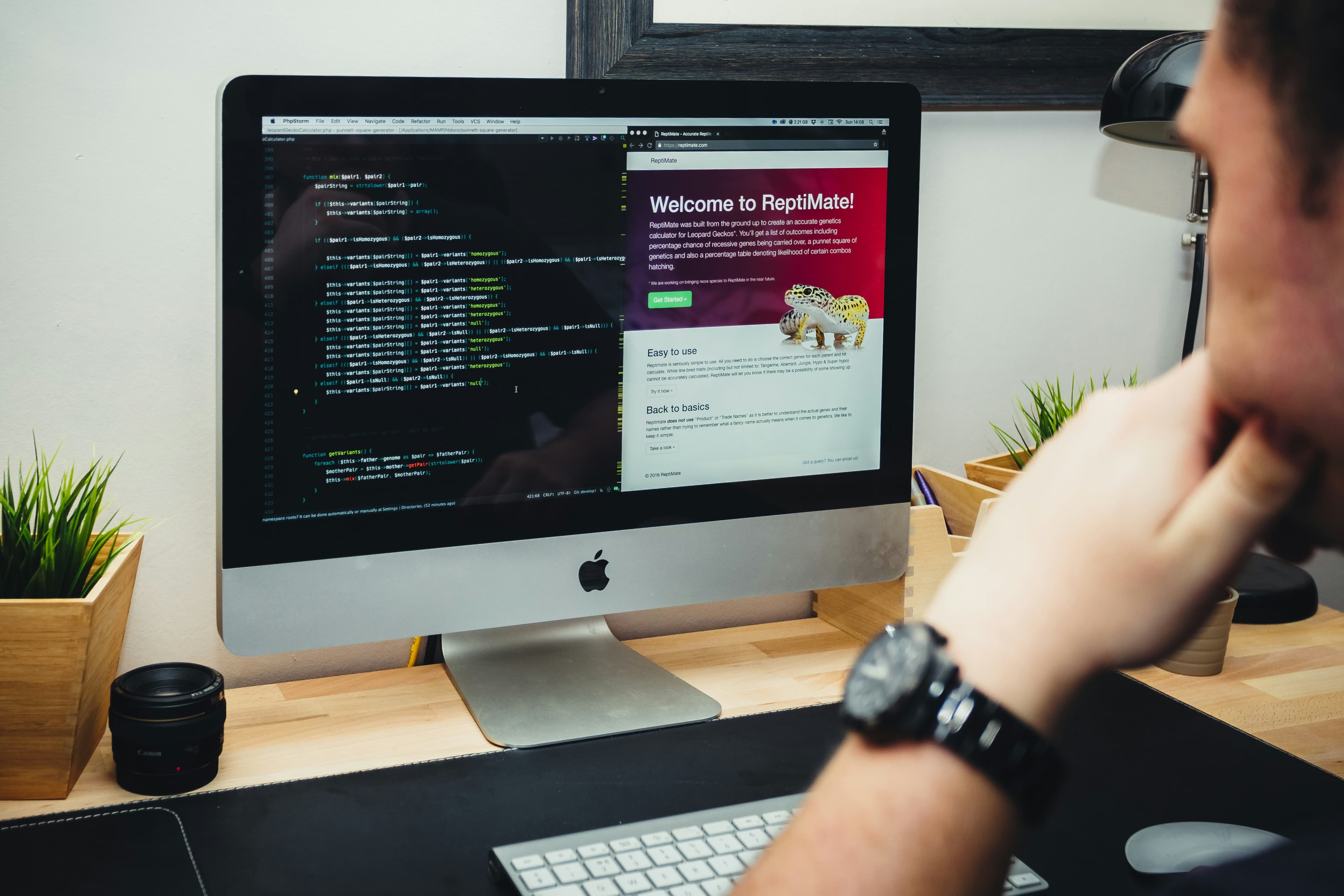 Software Development